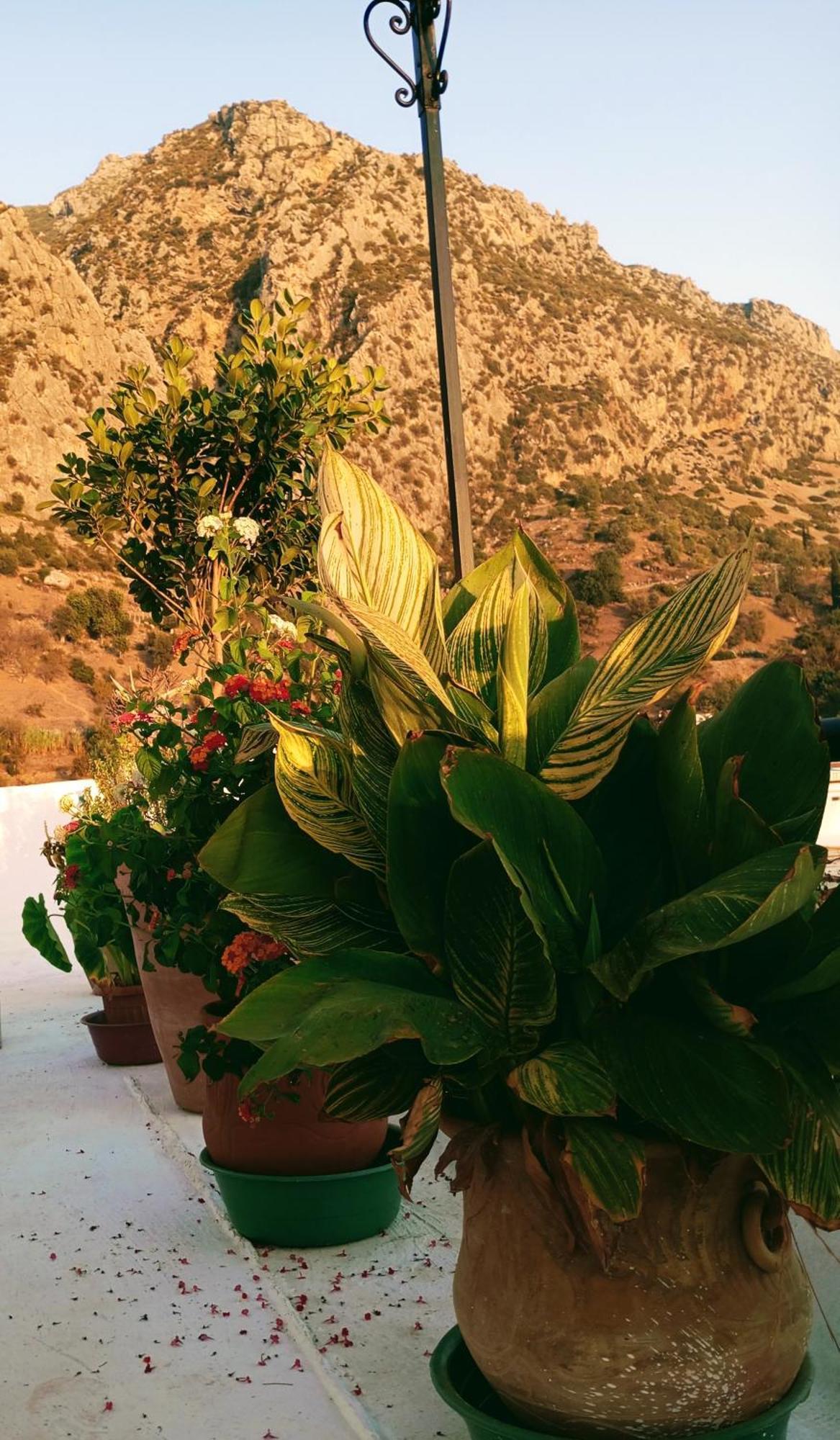 Dar Sbaa Bed & Breakfast Chefchaouen Bagian luar foto