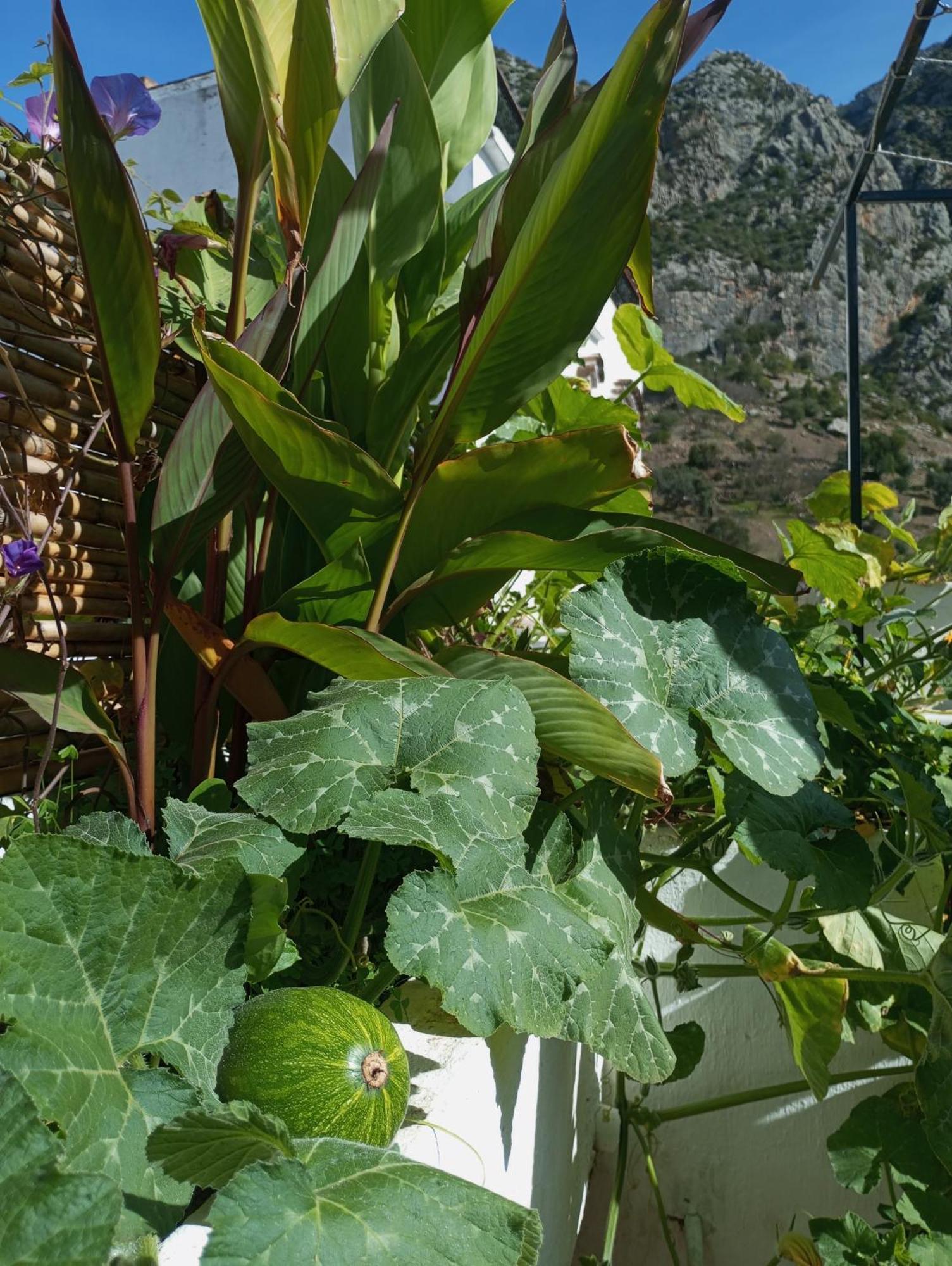 Dar Sbaa Bed & Breakfast Chefchaouen Bagian luar foto